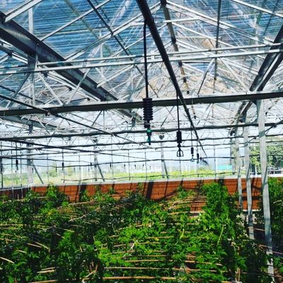 360 περιστροφικός ψεκαστήρας νερού Η τέλεια λύση για τις ανάγκες γεωργικής άρδευσης