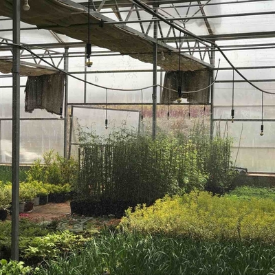 Οι εμπορικοί αγοραστές παίρνουν έκπτωση σε 360 μοίρες ψεκαστήρα κήπου για άρδευση αγροκτημάτων
